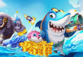 kiayun秒速登录入口2024最新版